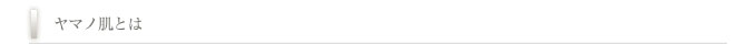 ヤマノ肌とは